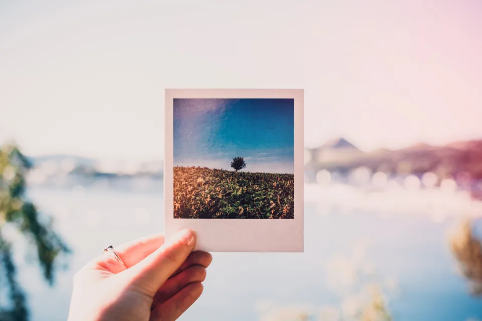 A hand holding a polaroid photo of a field against a soft pink sky, an idea for a personal vision board