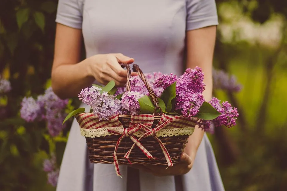 A woman in a lilac dress holding a basket of fresh lilac flowers