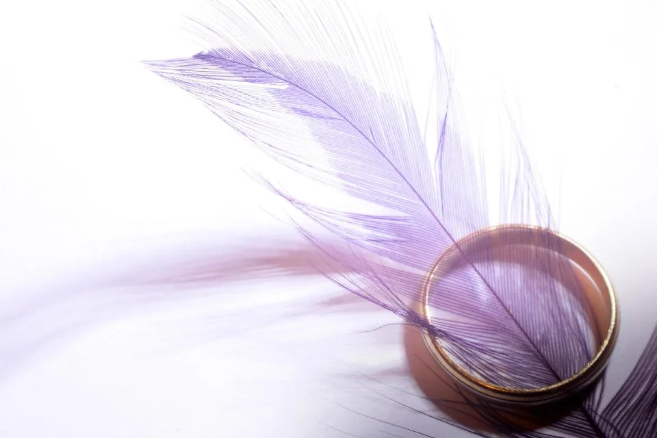 A soft lilac feather resting on a ring, a popular sign people look for when manifesting